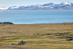 Isfjorden från Alkepynten