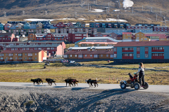 svalbard_-514 svalbard_-514