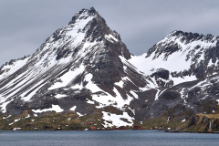 Sydgeorgien, Prins Olav Harbour