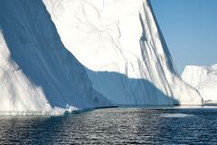 Ilulissat, Isfjorden, knölval