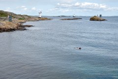 Hamnen